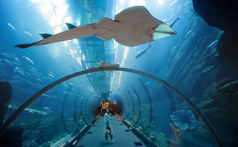 آکواریوم دبی