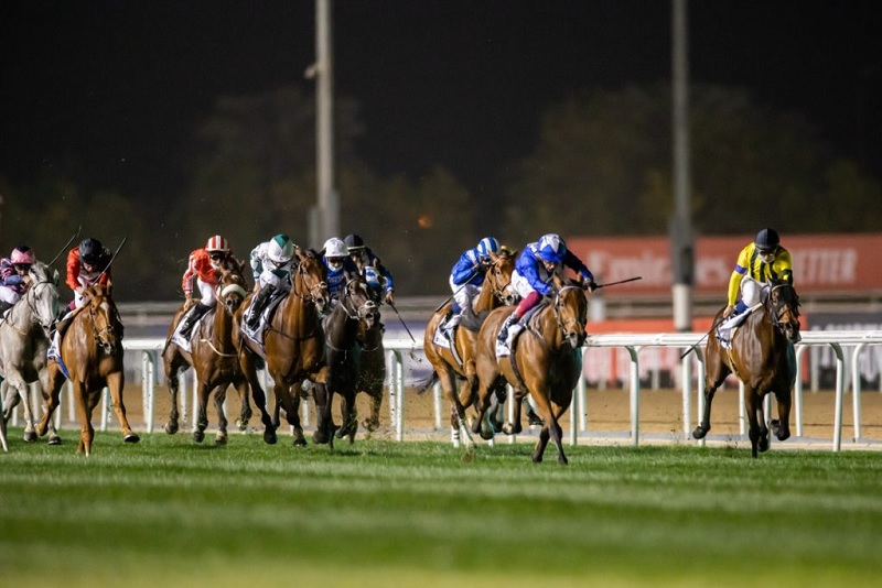 دبی ورلدکاپ 2025