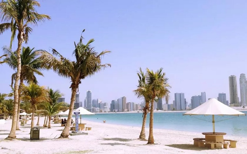 ساحل الممزر