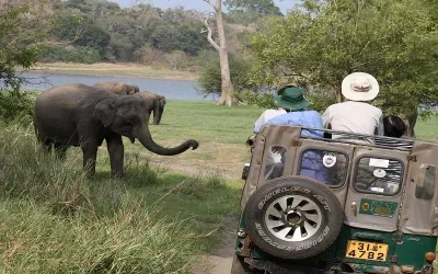 رستوران‌ها و امکانات رفاهی در سافاری پارک دبی