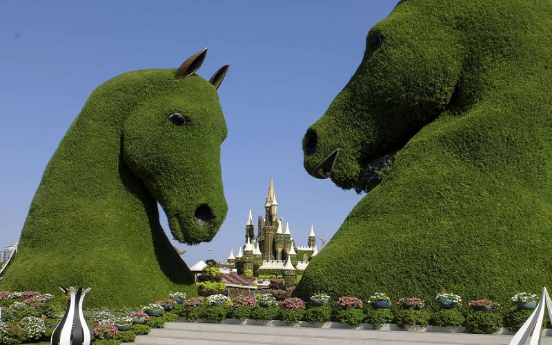 جاذبههای اصلی باغ گل دبی