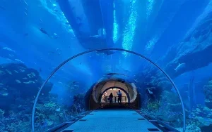 معرفی بهترین اکواریوم‌های دبی و ابوظبی: راهنمای جامع گردشگری