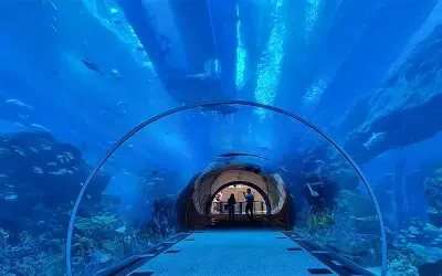 معرفی بهترین اکواریوم‌های دبی و ابوظبی: راهنمای جامع گردشگری