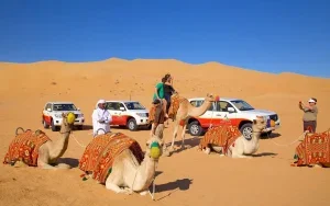 بهترین زمان برای سافاری دبی چه زمانی است؟