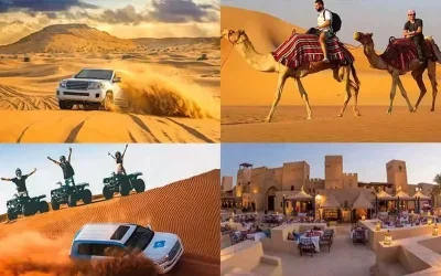 انواع سافاری‌ های دبی؛ معرفی 5 تا از بهترین سافاری‌ های دبی