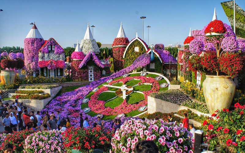 بازدید از باغ معجزه (Dubai Miracle Garden)