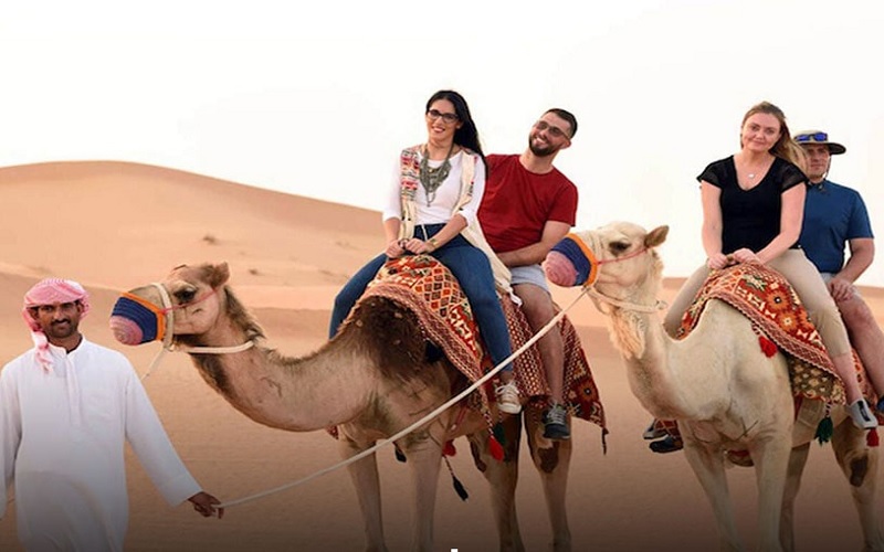 افراد مسن یا کسانی که به دنبال آرامش هستند