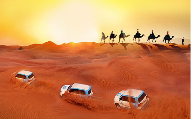  سافاری لوکس دبی