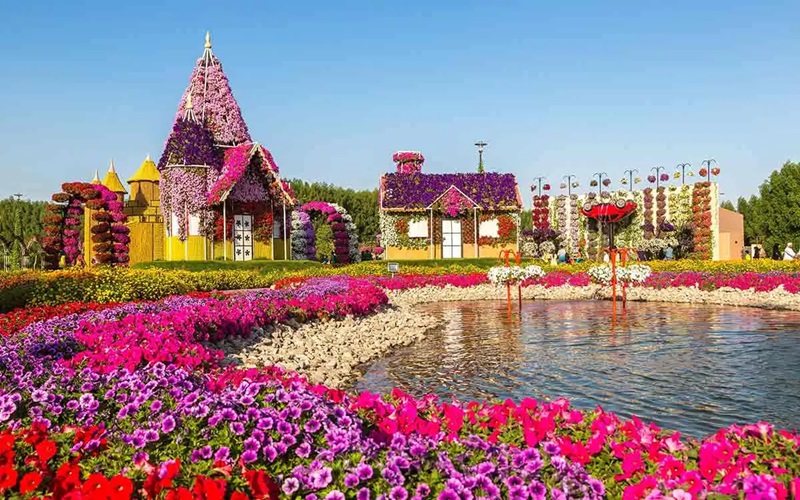 چرا باید از باغ گل دبی بازدید کنیم