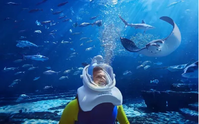 غواصی در آکواریوم دبی