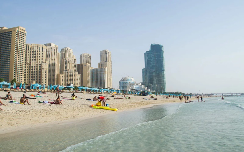 ساحل بلک پالاس