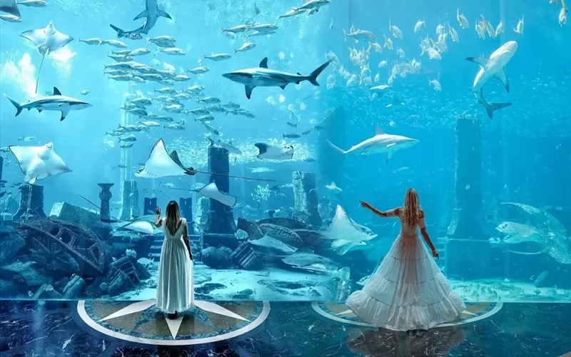 آکواریوم لاست چمبرز: دنیایی از افسانه‌ها در دبی پالم