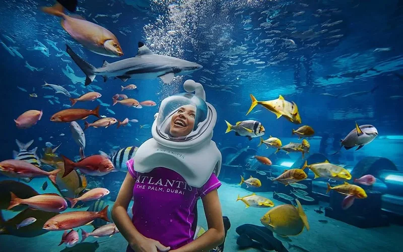 آکواریوم لاست چمبرز دبی - تصویر گالری 4