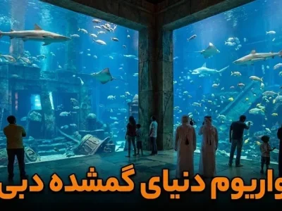 آکواریوم لاست چمبرز دبی - کاور ویدیو