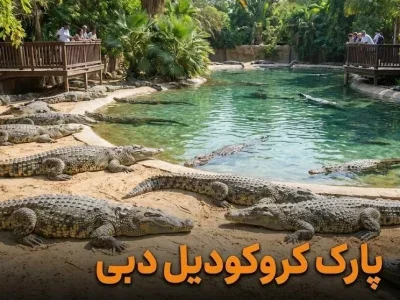 پارک کروکودیل دبی - کاور ویدیو