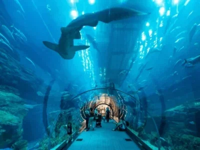 آکواریوم لاست چمبرز دبی