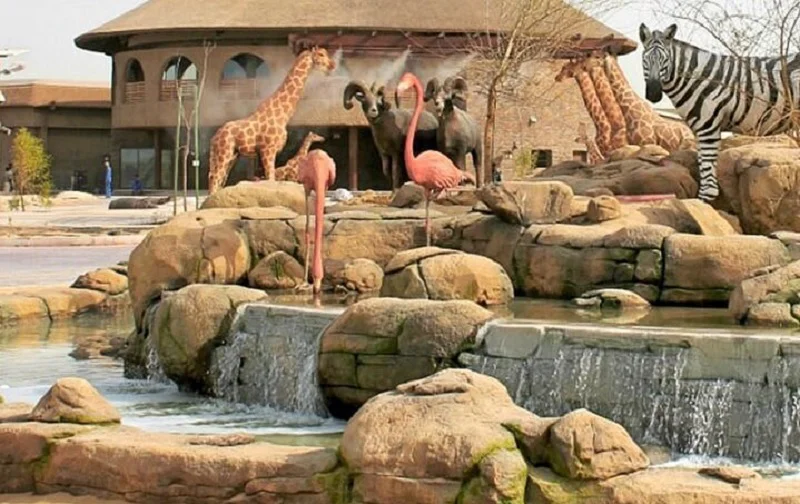 باغ وحش سافاری پارک دبی - تصویر گالری 3