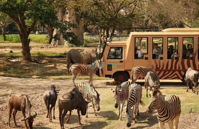 باغ وحش سافاری پارک دبی - تصویر گالری 4