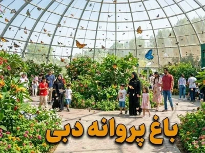 باغ پروانه های دبی - کاور ویدیو