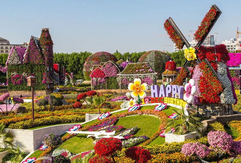 میراکل گاردن دبی - تصویر گالری 4