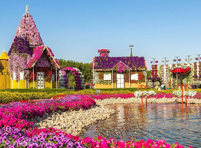 میراکل گاردن دبی - تصویر گالری 3