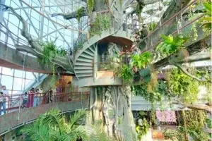 گرین پلنت دبی