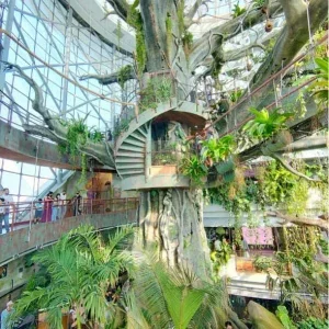 گرین پلنت دبی