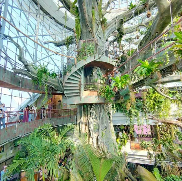 گرین پلنت دبی