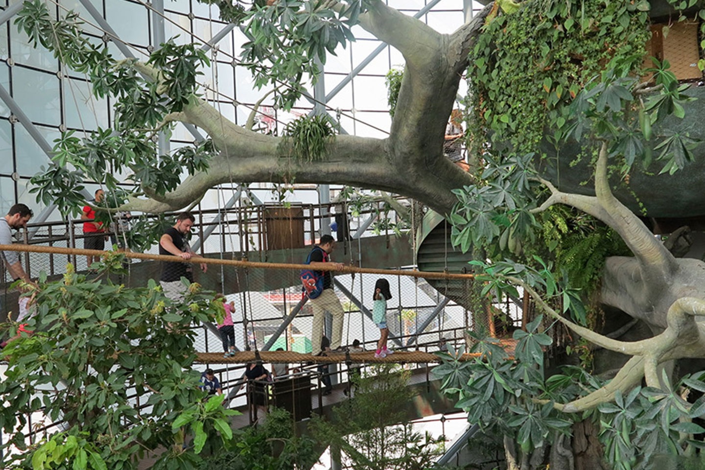 گرین پلنت دبی - تصویر گالری 2