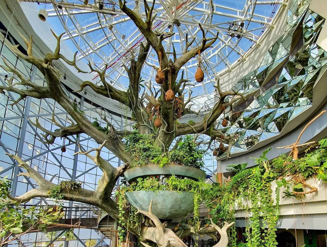 گرین پلنت دبی - تصویر گالری 3