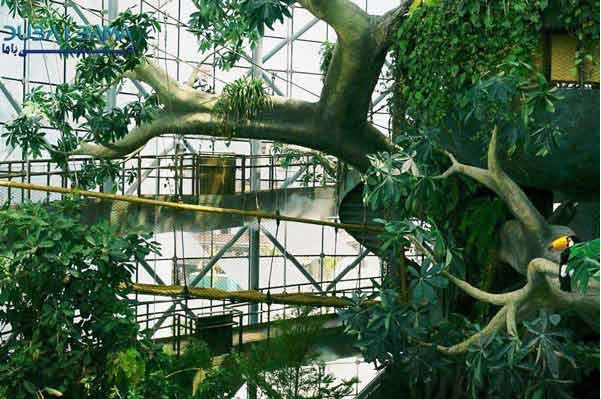 گرین پلنت دبی - تصویر گالری 4