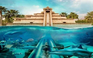 پارک آبی آتلانتیس دبی