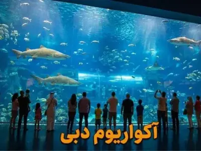 آکواریوم دبی مال - کاور ویدیو