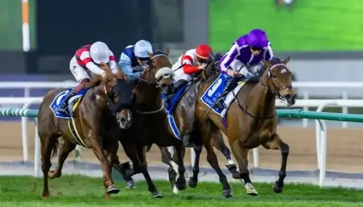 مسابقات جام جهانی اسب دوانی دبی 2026