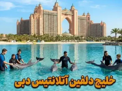 خلیج دلفین دبی + پارک آبی آتلانتیس رایگان - کاور ویدیو