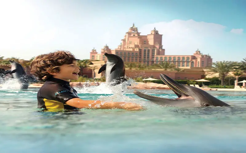 خلیج دلفین دبی + پارک آبی آتلانتیس رایگان - تصویر گالری 2