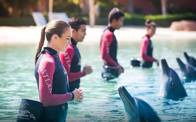 خلیج دلفین دبی + پارک آبی آتلانتیس رایگان - تصویر گالری 4