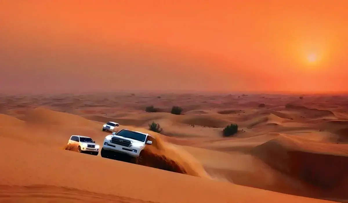 تور سافاری دبی
