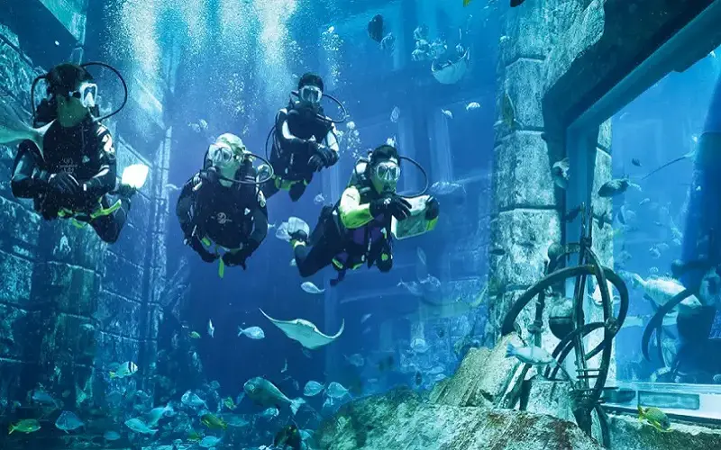 غواصی دبی – دیپ دایو دبی